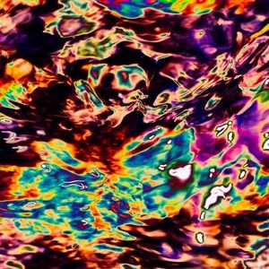 Meet your Posher, Javier